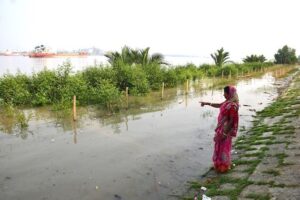 Manglares salvan vidas y medios de sustento de comunidades costeras de Bangladés : IPS Agencia de Noticias