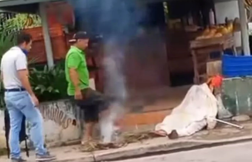 Muere anciano tras ser atacado por abejas