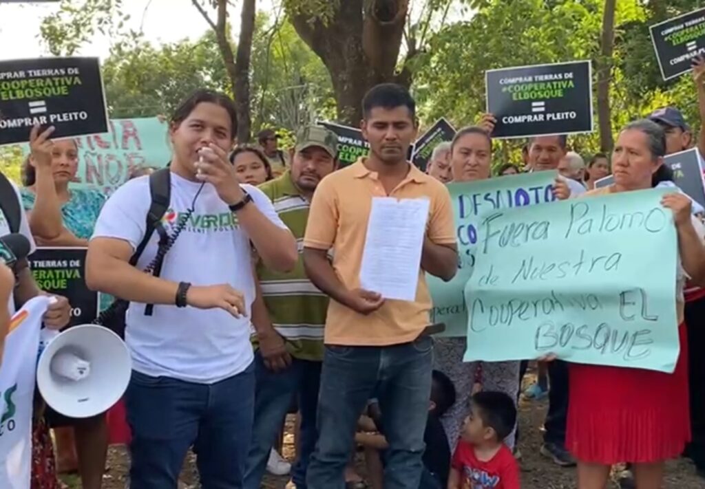 ONG denuncia "la captura ilegal y arbitraria" de un abogado ambientalista en El Salvador - AlbertoNews
