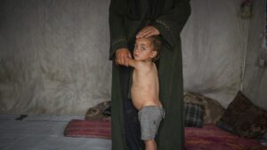 ONU alerta que 14.000 bebés morirán en Gaza en 48 horas si no llega ayuda humanitaria - AlbertoNews