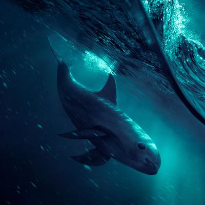 Peces, mamíferos, aves y reptiles: 5 animales que solo se encuentran en México