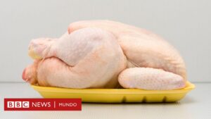 Por qué Europa no quiere el pollo de EE.UU. y qué países de América Latina lo compran