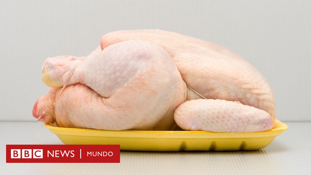 Por qué Europa no quiere el pollo de EE.UU. y qué países de América Latina lo compran