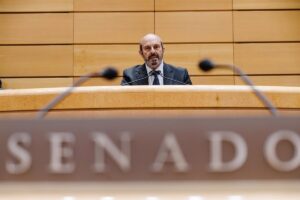 Rollán enmarca la infiltración informática en un "ámbito personal" y niega que afectara a la privacidad de los senadores