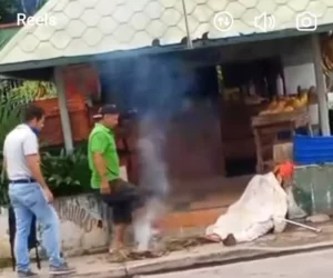 Un anciano falleció por picaduras de abejas en La Bocaina