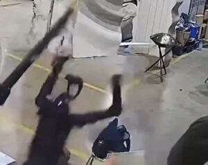 VIDEO: Un robot humanoide se rebeló a sus creadores y todo se salió de control