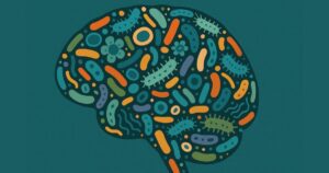 lee en exclusiva un capítulo de este libro imprescindible, dedicado a la conexión entre intestino y cerebro