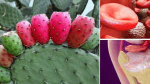 previene picos de glucosa y previene la osteoporosis