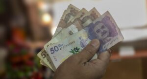 quiénes y cómo se puede aplicar