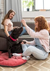¿Cómo enseñar trucos divertidos a tu mascota?