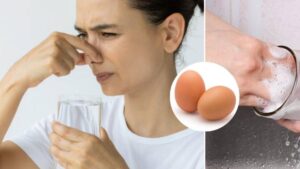 ¿Por qué los vasos tienen 'olor a huevo' y cómo eliminarlo? Esta es la bacteria que lo produce