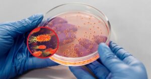 ¿cómo usan los microbios la física para comunicarse?