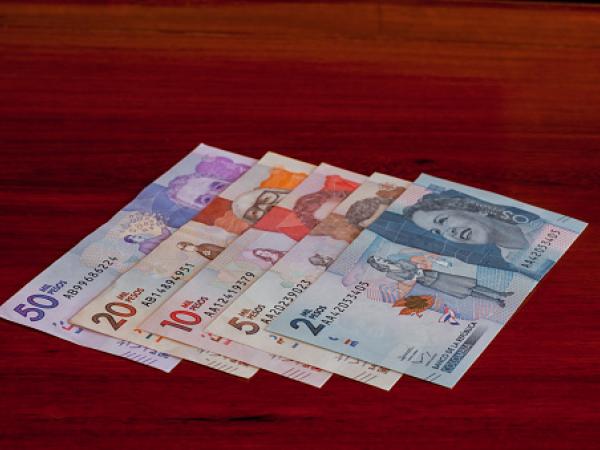 ¿Qué ha impulsado la caída del saldo en la cartera real? | Finanzas | Economía