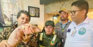 Rescatan más de 1.000 animales silvestres que estaban en cautiverio