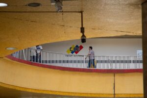 Adjudicación de diputados suplentes es un “tema político” en el CNE