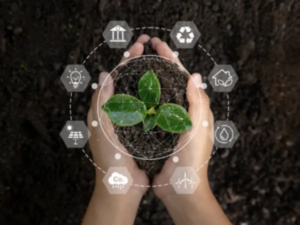Agricultura regenerativa en Colombia: alternativa frente al cambio climático y la crisis hídrica | Agro | Economía