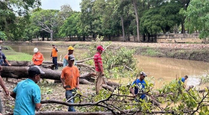 Árboles caídos y viviendas anegadas dejan las lluvias en Sucre