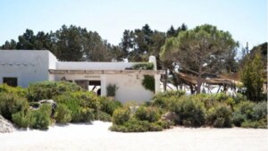 Así es el chiringuito de moda en Ibiza en el que han comido famosos como Leonardo Di Caprio, Jeff Bezos y Tamara Falcó