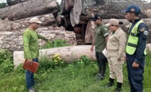 Autoridades de Venezuela incautan 9,7 kilos de sustancias peligrosas para el ambiente - AlbertoNews