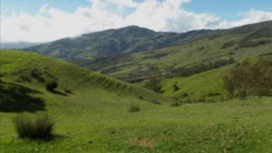 Autoridades del Táchira estudian territorio que podría ser declarado parque nacional