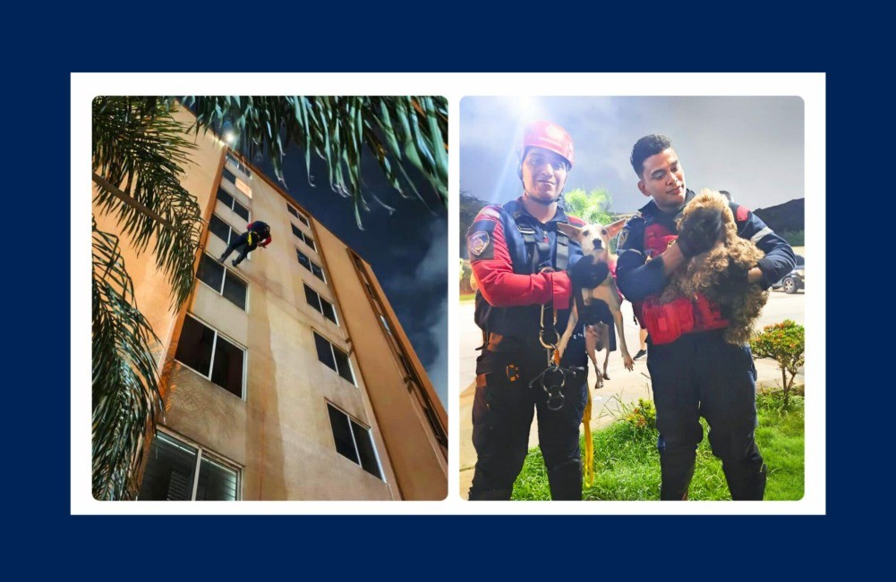 Bomberos de Anzoátegui rescataron dos caninos que llevaban cuatro días abandonados en un apartamento