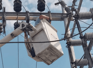 Brindan mantenimiento en la subestación San Joaquín en la zona sur – Diario La Nación
