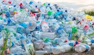 Cada persona consume más de 50 000 partículas de plástico al año : IPS Agencia de Noticias