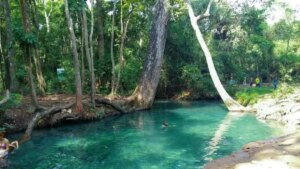 Cañaverales se opone a mina de carbón a cielo abierto que amenaza su manantial en el sur La Guajira