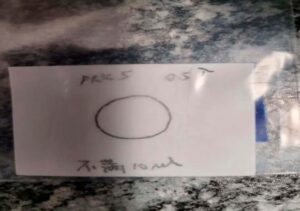 Científica de una universidad de Wuhan fue detenida en EEUU por contrabando de material biológico