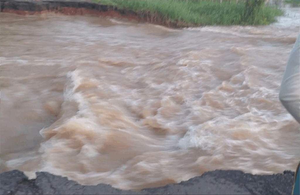 Apure