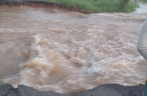 Apure