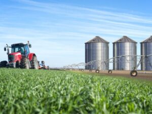 Colombia, actor estratégico en el futuro sostenible del sector agropecuario | Agro | Economía