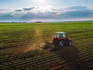 Colombia registró un máximo histórico en exportaciones agropecuarias durante ese mes. | Comercio | Negocios