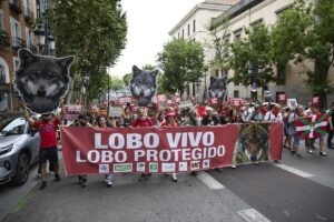 "El Congreso nos ha traicionado"
