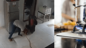 El detalle que salvó a una pareja de morir en una explosión por una fuga de gas en India
