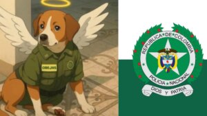 Él era 'Orejas', el perrito que murió durante hostigamiento en estación de policía en Antioquia