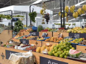 En cuánto terminaría la inflación de Colombia y otras naciones de la región en 2025 | Finanzas | Economía