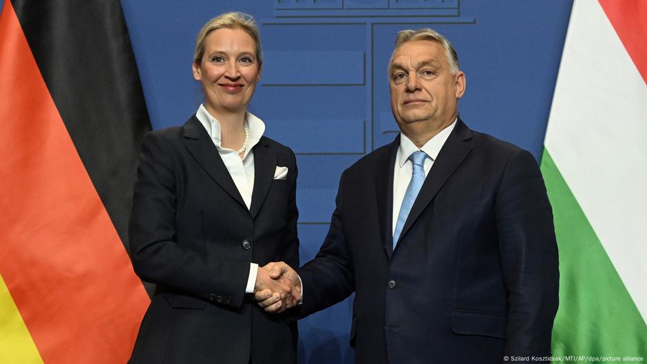 Estos son los partidos de ultraderecha europeos en auge – DW – 12/06/2025
