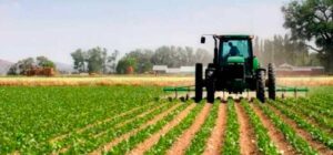 Fedeagro busca fijar precios mínimos de sustentación en el campo