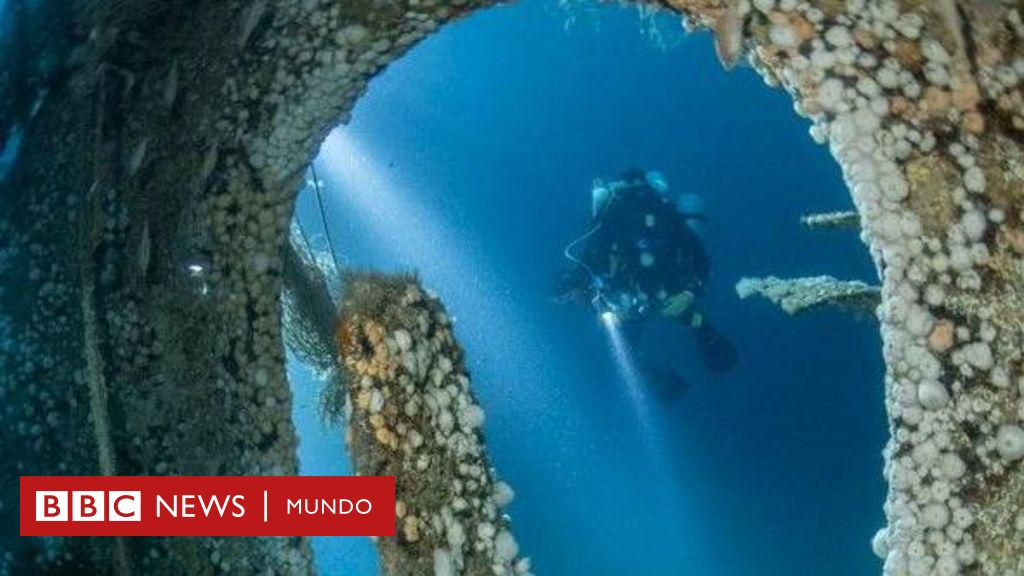 "Fue una tragedia terrible": resuelven el misterio de un naufragio ocurrido hace 140 años