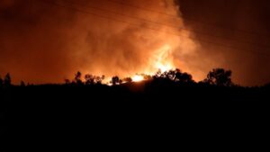 Un incendio forestal obliga a una evacuación parcial de la isla griega de Quíos