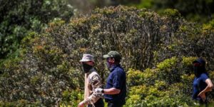 Hallan restos de huesos y ropa en la zona donde desapareció Madeleine McCann