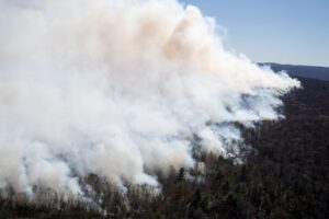 Hay alerta máxima por riesgo de incendios forestales en estos tres estados de EEUU - AlbertoNews