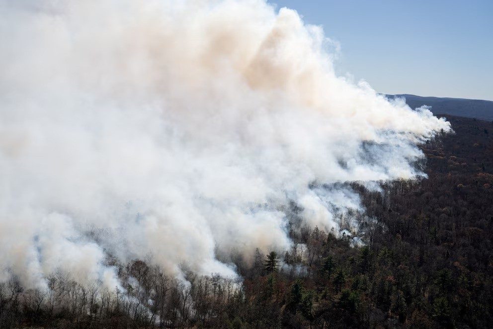 Hay alerta máxima por riesgo de incendios forestales en estos tres estados de EEUU - AlbertoNews