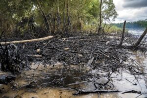 Indígenas afectados por derrame de petróleo en Ecuador piden a juez visitar zona impactada - AlbertoNews