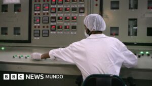 “Irán podría empezar a enriquecer uranio en meses”: el director general del OIEA contradice a Donald Trump