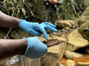 Judicializan a seis personas de presunta red de minería ilegal | Economía