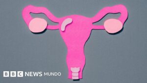 La sorprendente movilidad útero y por qué es clave para el aparato reproductivo femenino