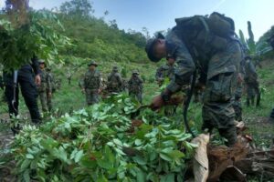 Las 10 claves del Informe Mundial sobre Drogas 2025 de Naciones Unidas