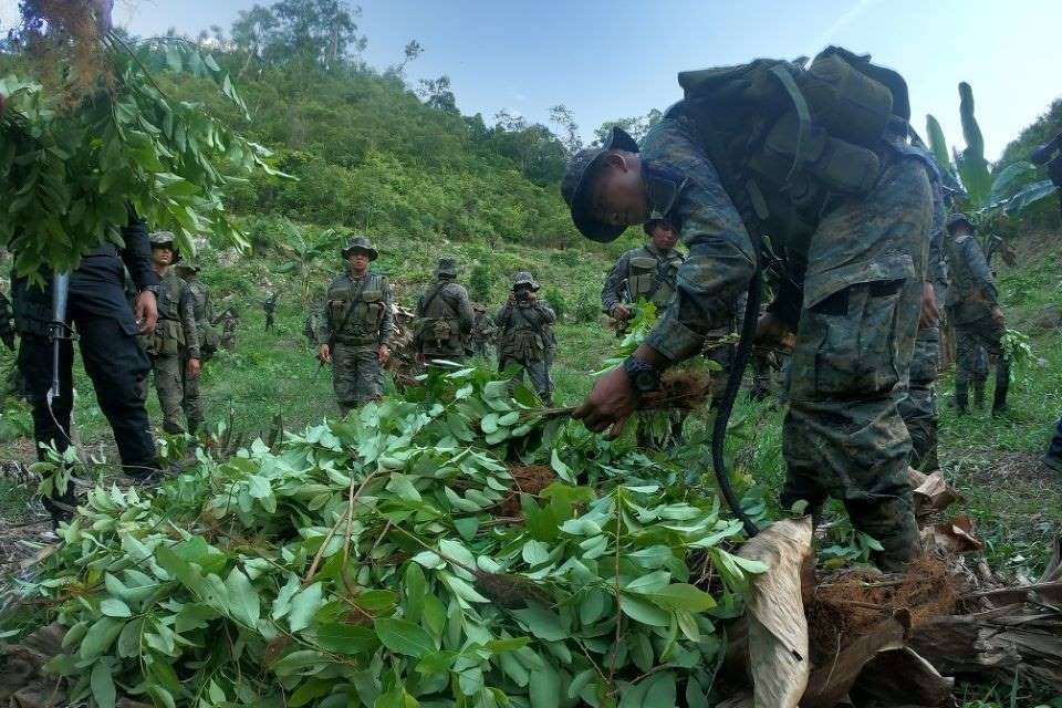 Las 10 claves del Informe Mundial sobre Drogas 2025 de Naciones Unidas